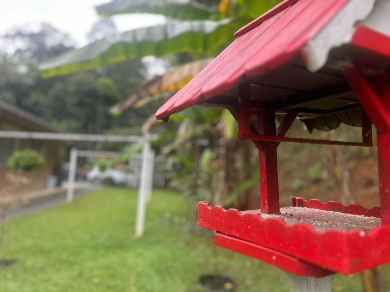 Bela Vista Hospedagem Joinville Ngoại thất bức ảnh
